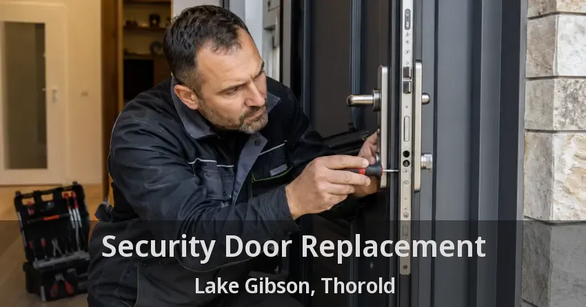Security Door Replacement Lake Gibson, Thorold - ON